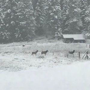 Meet your Posher, Kandace